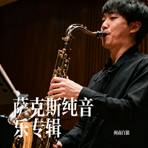 萨克斯纯音乐2