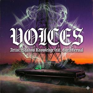 VOICES (feat. Gurixgrewal)