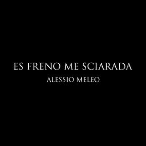Es freno me sciarada