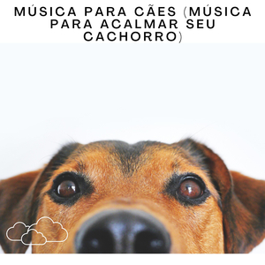 Música Para Cães (Música Para Acalmar Seu Cachorro), Pt. 143