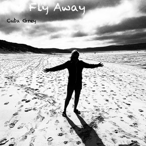 Fly Away
