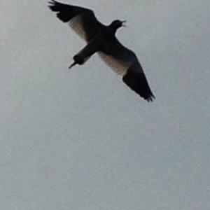 没有什么不能改变