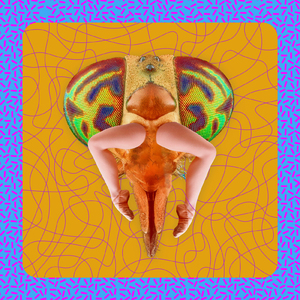 君のその笑顔を僕は詐欺だと思ってる