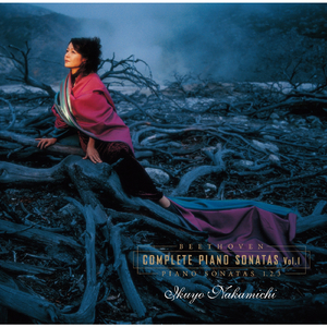 Piano Sonata No. 3 in C Major, Op. 2, No. 3:I. Allegro con brio