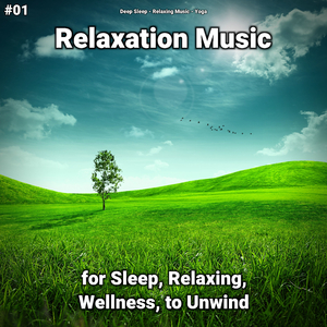 Relaxation Music Pt. 55
