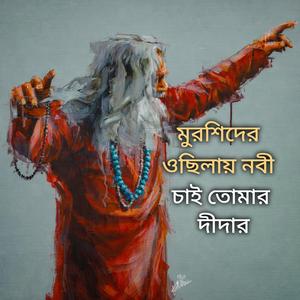 মুরশিদের ওছিলায় নবী চাই তোমার দীদার জামান চিশতী