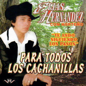 Borradita Diente de Oro