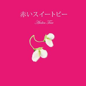 赤いスイートピー（翻自 V.A.）