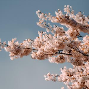 FreeBeat 奋力一搏