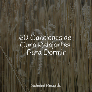 Lecciones Del Cosmos