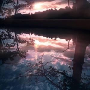 我们仍未想起六月的雨和夜有多么的令人期待