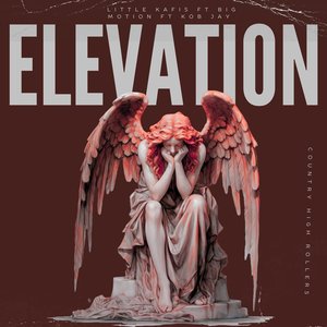 Elevation