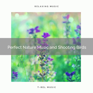 Feel High Sleep with Peaceful Nature Sounds for Naps