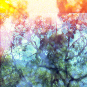 Volto pra Minha Terra