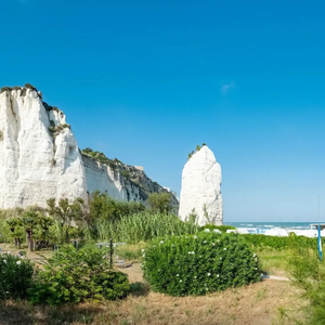 失恋时光的泪与伤