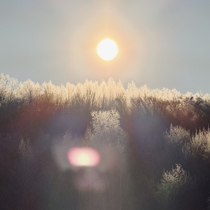 嘴硬的人不说爱