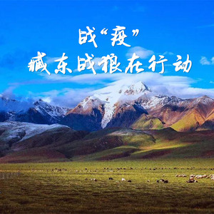 战“疫”，臧东战狼在行动