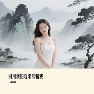 别用我的爱来欺骗我 (Remix)