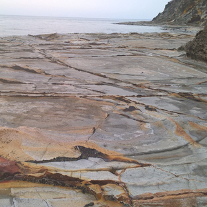 Washed Up in Nishinoshima, Shimane