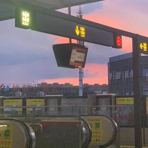 偏爱（cover：许佳豪）