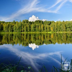 Subtle Dreamy Cafe Lounge