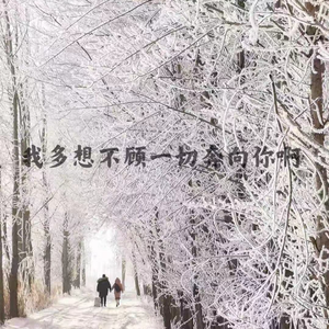 我多想不顾一切奔向你啊 (吉他版)