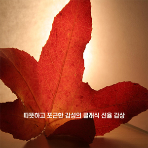 스핀들러 - 소나티네 작품번호157 4번-2악장 다장조