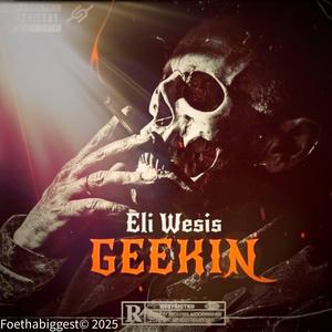 Geekin