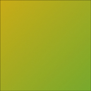 DRAINO (Cover)