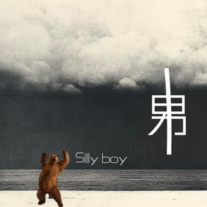 silly boy