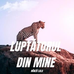 Luptătorul din Mine