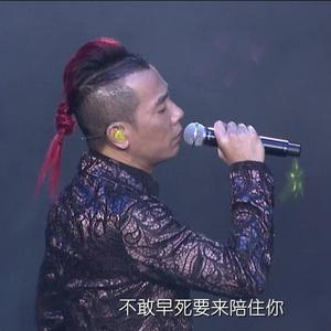 相依为命 钢琴版
