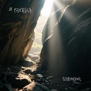 裂缝中的阳光 (Cover 林俊杰)