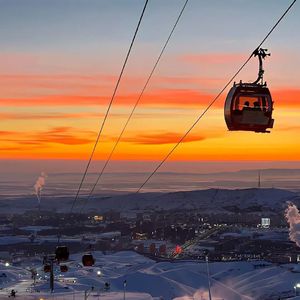 喷鼻香十里荷花