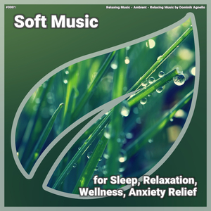 Soft Music, Pt. 4