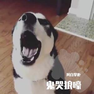 刘嘉亮-感谢华建（阿白掌柜 remix）