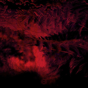 INSOMNIAC (Bungalovv Remix)