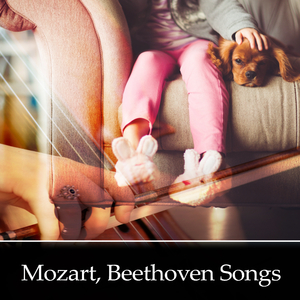 Das Lied der Trennung, K. 519