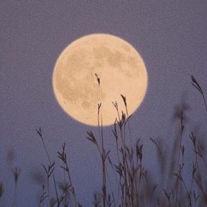 没了我你依然拥有太阳