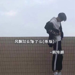 风飘过云海了吗-韩冷颜
