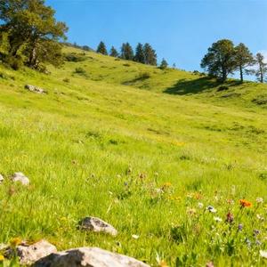 遗憾没能和你成个家