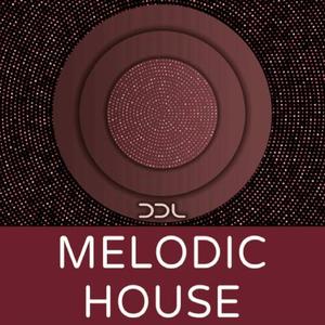 全国语金牌慢摇无心睡眠咚鼓节奏MUSIC慢摇大碟