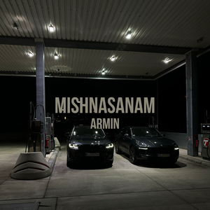Mishnasanam