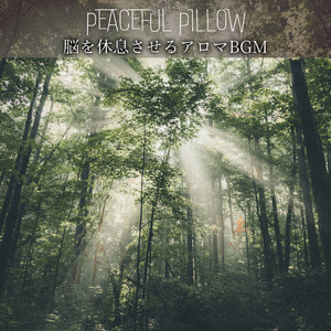 Serene Horizons of Tranquility