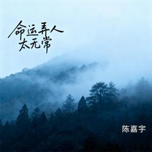命运弄人太无常