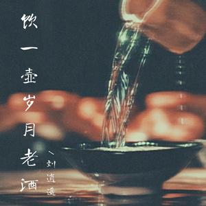 饮一壶岁月老酒