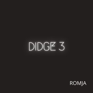 Didge 3