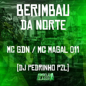 Berimbau da Norte