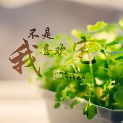 气势猛如虎队形立正