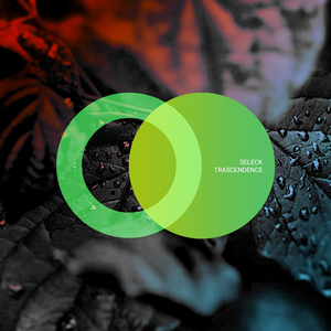 Trascendence (Original Mix)